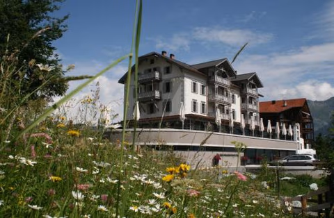 The Alpina Mountain Resort — foto 1