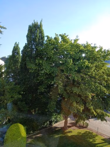 Ruhiges Appartment am Stadtpark — photo 1