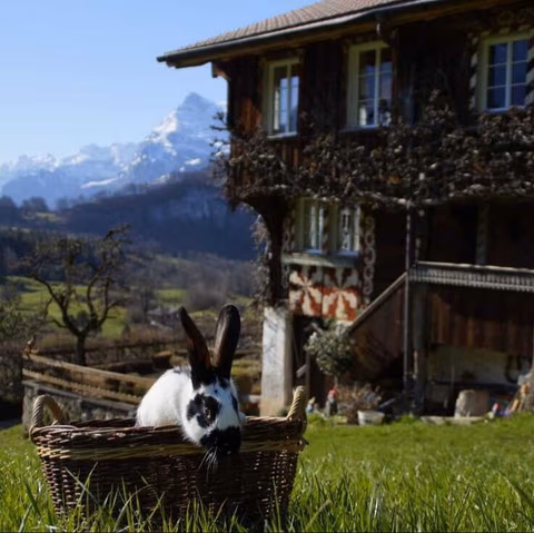 Oberhofstatt Bed and Breakfast — foto 9