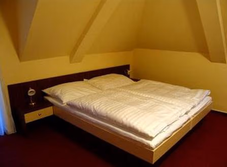 Hotel Altenberg — photo 7