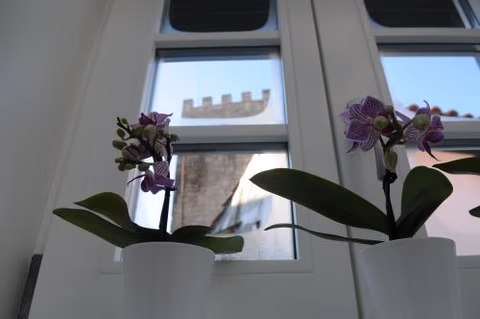 The Castle House — foto 1
