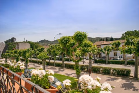 Amplio apartamento rural con terraza — foto 8