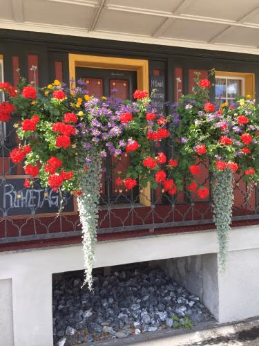 Landgasthof Schäfle — foto 8
