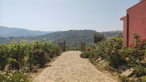 Quinta dos Padrinhos - Suites in the Heart of the Douro — foto 9