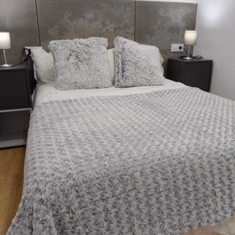 APARTAMENTOs TURÍSTICOS PLAZA ATOCHAS # 4 — foto 4