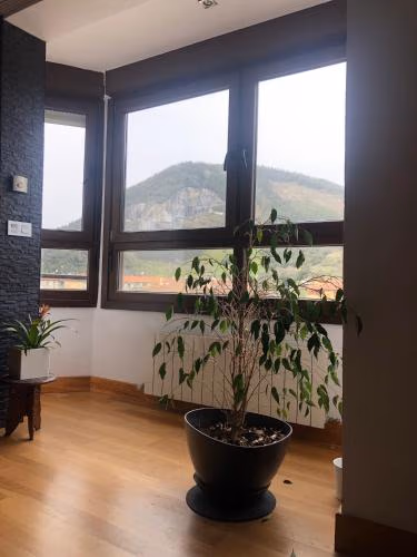 Dúplex Markina Xemein — foto 7