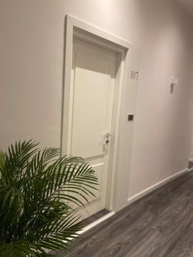 Hotel Delle Camelie — foto 9