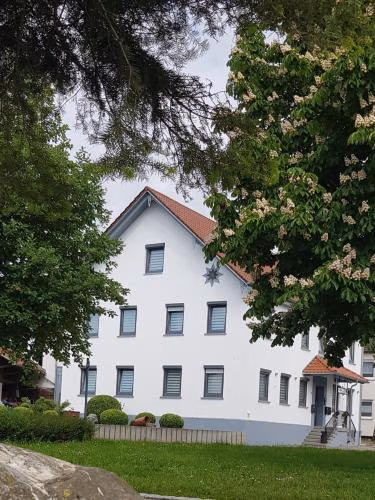Pension zum Hecht — foto 2