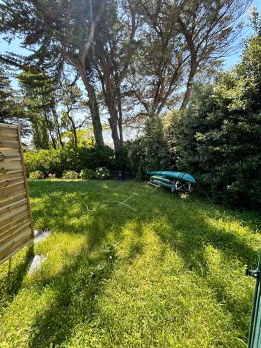 parlementia surf studio — foto 5