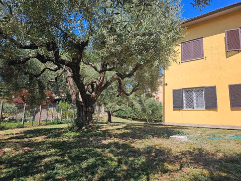 B&B Mariposa — foto 7