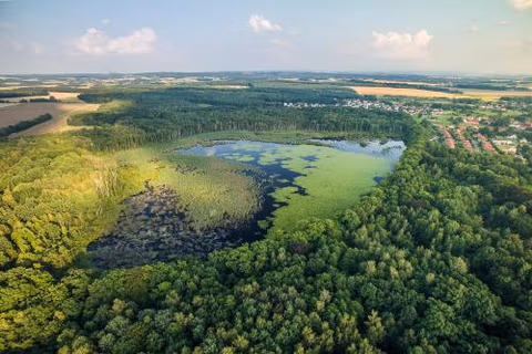 Pałac Łagów — foto 6