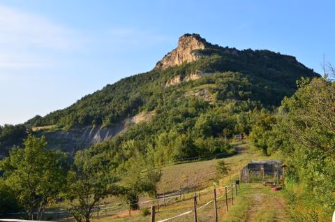 Agricampeggio Cà di Mazza — foto 4