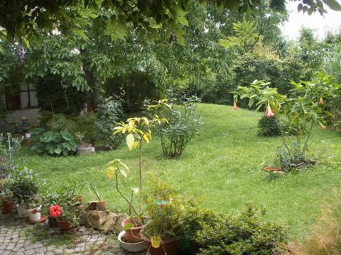 Dresdner Höhe — foto 7