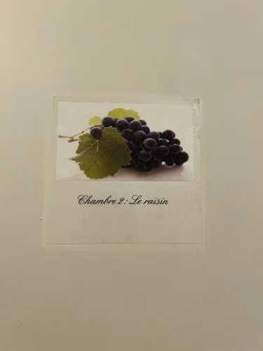 Le Médoc de Clémence — foto 4