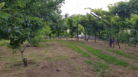 CASA ANJOS — foto 2