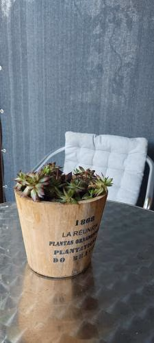 Sonnengarten — foto 5