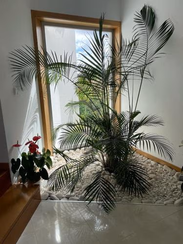 CasaAnabela — foto 7