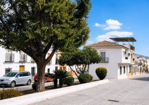 Casa Arcadia Centro de Andalucía — photo 3