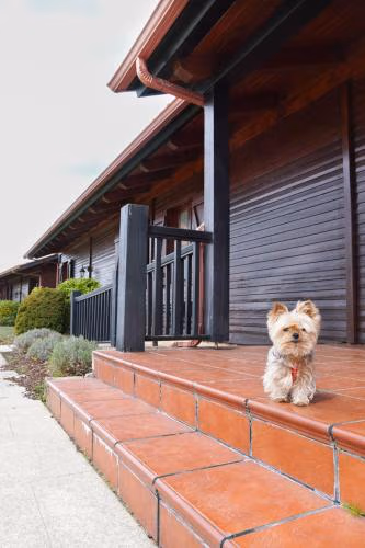 Complejo la Cabaña — foto 4