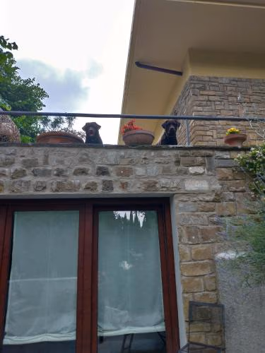 Poggio Gherardo — photo 6