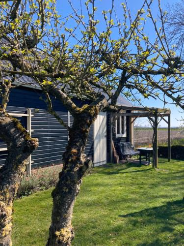 Vakantiehuisje De Waddenuil — foto 2