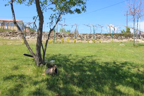 Casas do Campo da Moita — photo 3