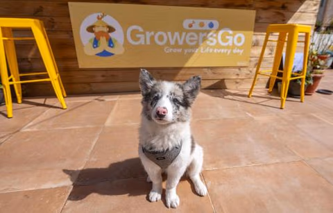 GrowersGo Boutique Huelva — photo 4