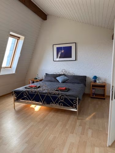 Stilvolles Privatzimmer im Einfamilienhaus nahe Basel — foto 6
