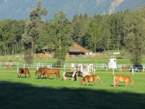 Eichhof Brienzwiler Berner Oberland — foto 6