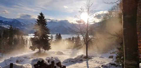 Gemütliche FeWo mit Sauna inmitten der Berge — foto 4