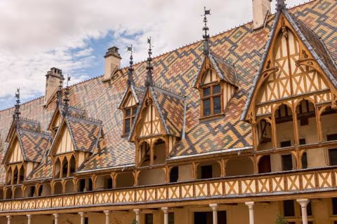 ALFRED HOTELS Beaune — foto 5