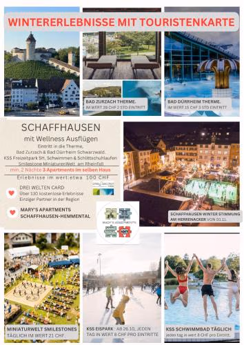 MARYS family friendly Apartments,VISIT RHINE FALLS for FREE if you stay 2 nights, SOHO 95m2 2-Bedrooms 2nd floor & SOUTH BEACH 105m2 3-Bedrooms & LOFT 115m2 3-Bedrooms Suite with Galerie,LOFT Netz 20m2, Pinball, Schaffhausen-Hemmental, Rheinfall 10 km — foto 4