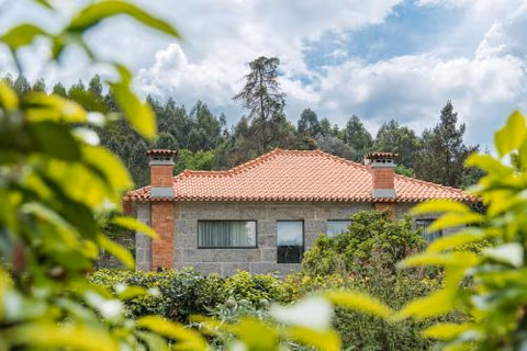 Quinta das Pirâmides — photo 6