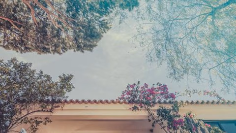 Pine House - Faro Airport, Beach and City Center — foto 6