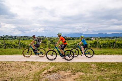 Agriturismo Vidalli Colvidor — foto 4