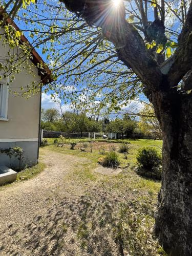 Theviennehouse — foto 5