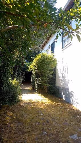 Casa da Oliveira — photo 7