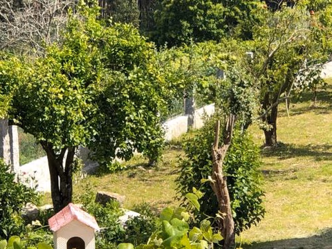 Casa Estrella — foto 2