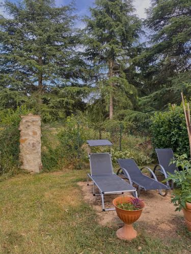 La casa gialla — foto 4