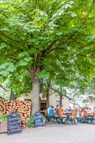 BLÖDEL Gasthof Grüner Baum — photo 8