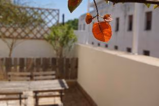 Black Swan Hostel — foto 8