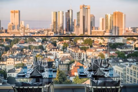 Meliá Frankfurt City — photo 7