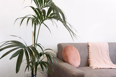 Casa Alba La Casa Delle Coccole — foto 7