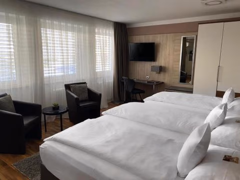 ZUM ZIEL Hotel Grenzach-Wyhlen bei Basel — foto 4