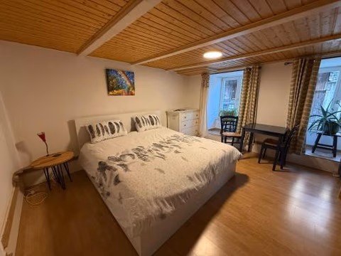 18th C Cottage near Basel, Hiking, Business, Couples, Families, Groups, Parking, Fast WiFi, Jura Mountains — foto 4