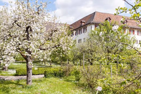 Kloster Dornach / Basel — foto 1