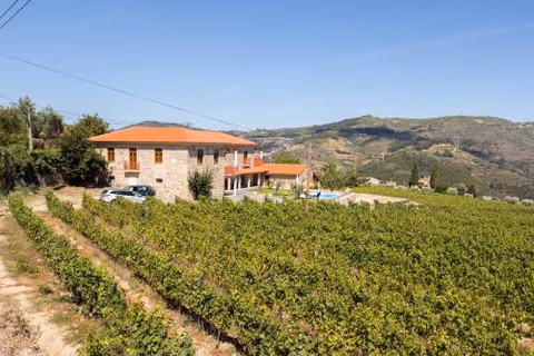 Quinta do Passadiço — foto 8