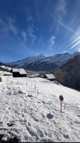 Appartement Cozy En Valais — foto 6