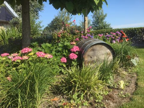 B&B Zonnedauw — foto 4
