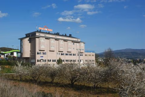 Hotel Novo — foto 8